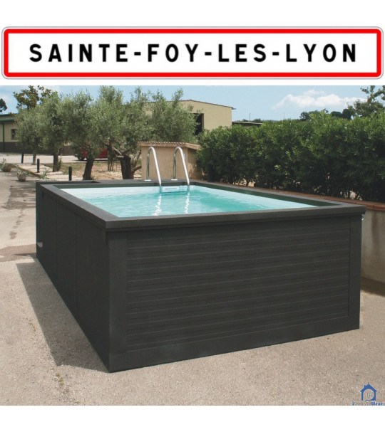Container piscine sans travaux 5M25x2M55x1M26 Sainte-Foy-lès-Lyon (69202)